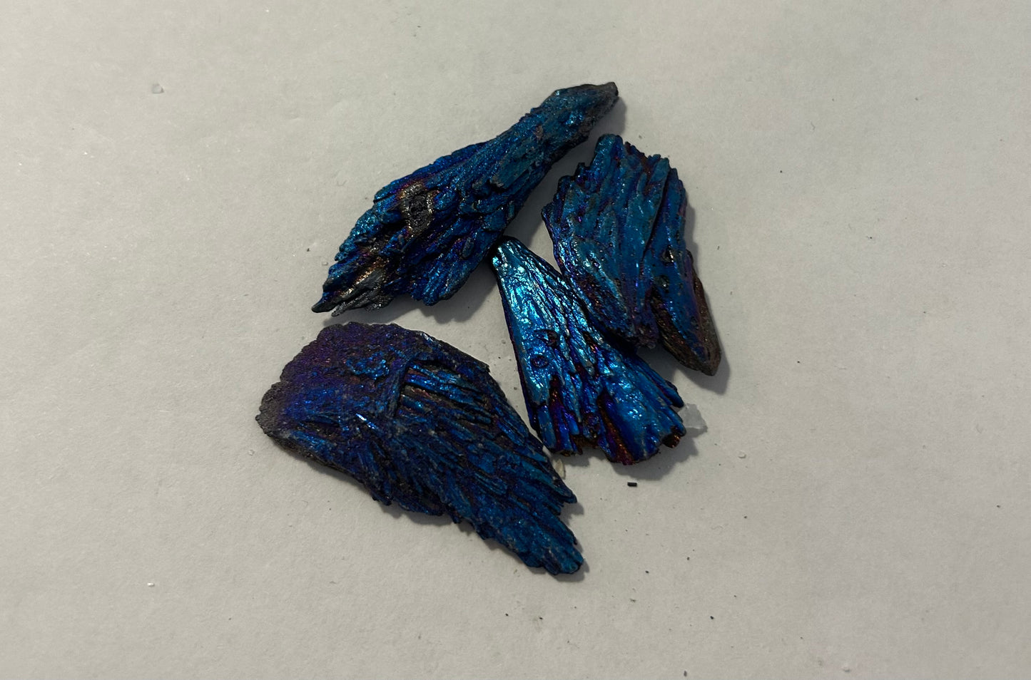 Dyed Bornite Feathers 40g Packs