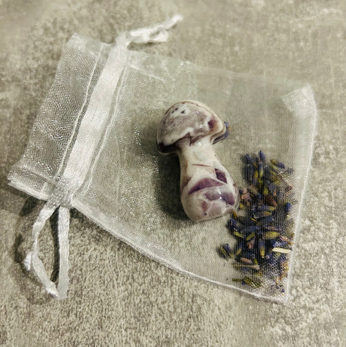 Big amethyst mushroom