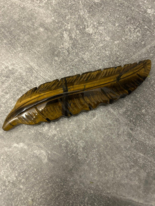Tigers Eye Feather