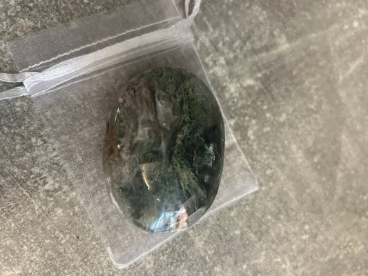 Moss Agate Palm Stone