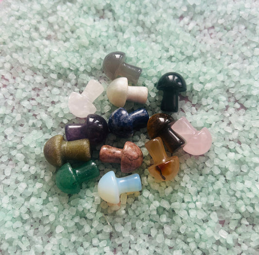 Lucky Dip Mini Crystal Mushrooms