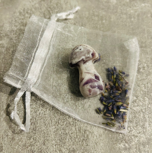 Big amethyst mushroom